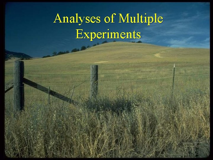 Analyses of Multiple Experiments 