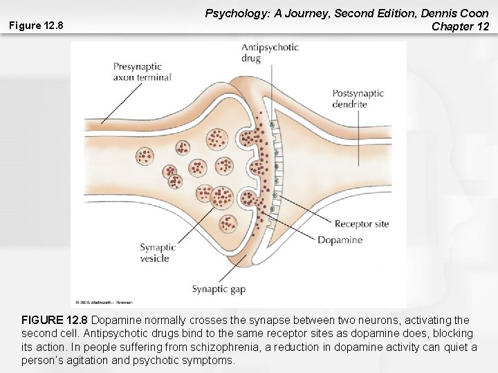 Figure 12. 8 Psychology: A Journey, Second Edition, Dennis Coon Chapter 12 FIGURE 12. Figure 12. 8 Psychology: A Journey, Second Edition, Dennis Coon Chapter 12 FIGURE 12.
