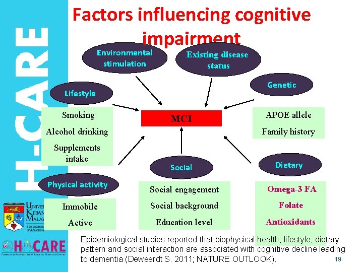 Factors influencing cognitive impairment Environmental stimulation Existing disease status Genetic Lifestyle Smoking MCI Alcohol