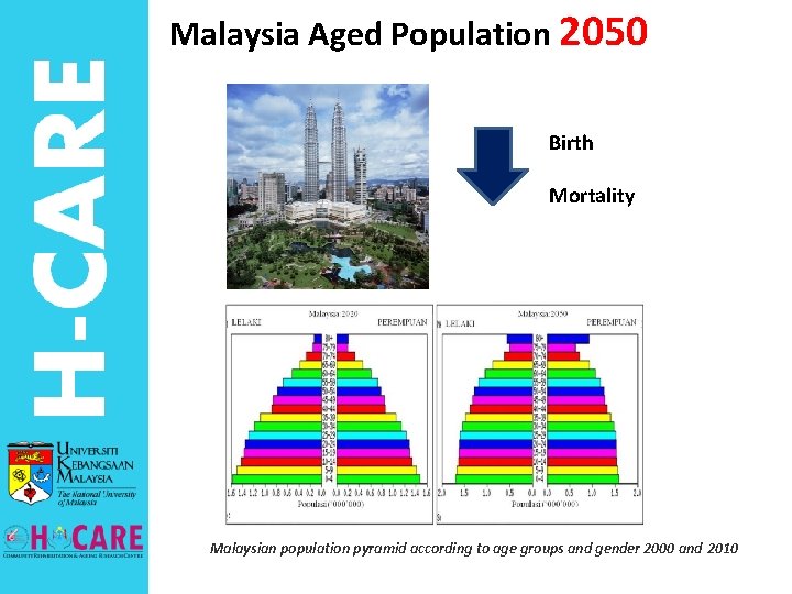 Malaysia Aged Population 2050 Birth Mortality Malaysian population pyramid according to age groups and