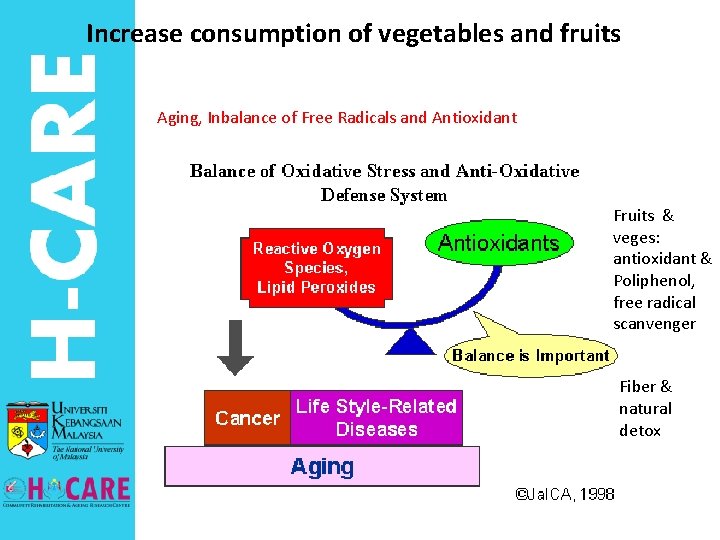 Increase consumption of vegetables and fruits Aging, Inbalance of Free Radicals and Antioxidant Fruits