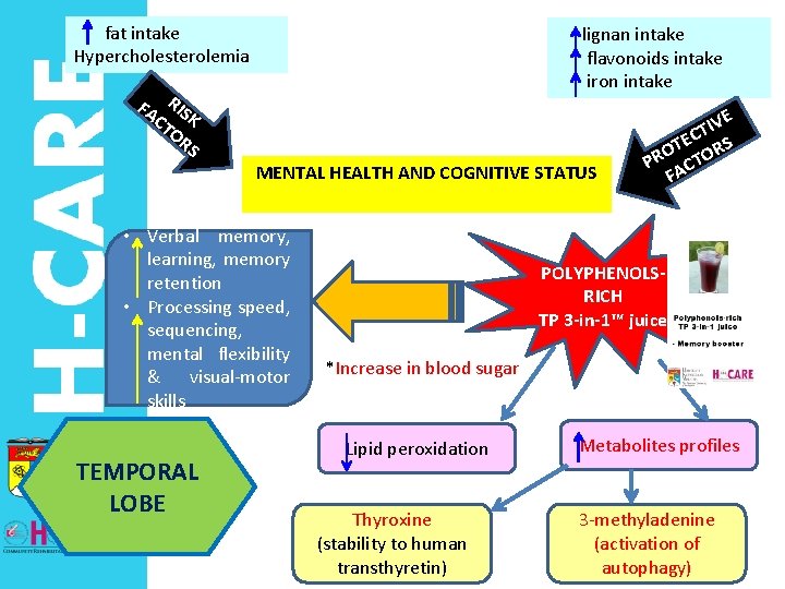  fat intake Hypercholesterolemia lignan intake flavonoids intake iron intake FA RIS CT K