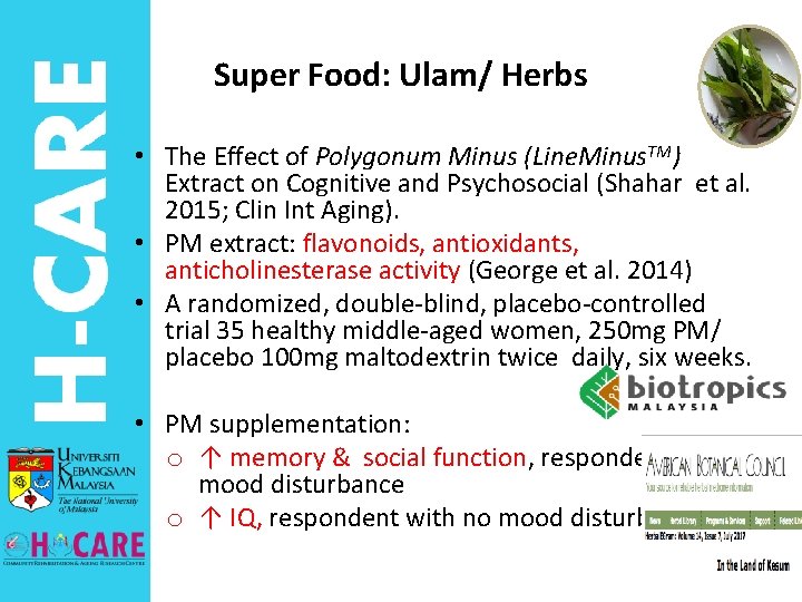 Super Food: Ulam/ Herbs • The Effect of Polygonum Minus (Line. Minus. TM) Extract