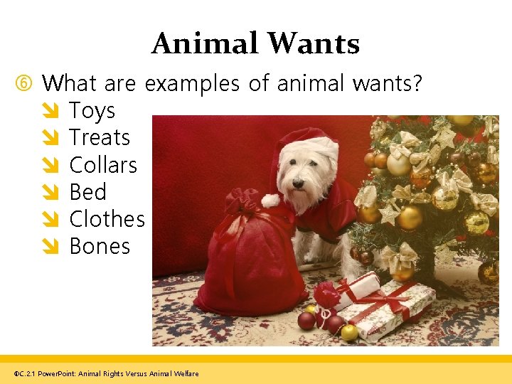 Animal Wants What are examples of animal wants? Toys Treats Collars Bed Clothes Bones