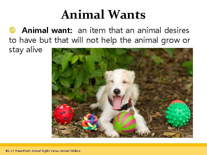 Animal Wants Animal want: an item that an animal desires to have but that