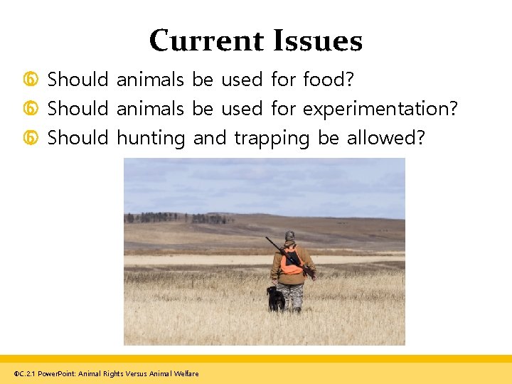 Current Issues Should animals be used for food? Should animals be used for experimentation?
