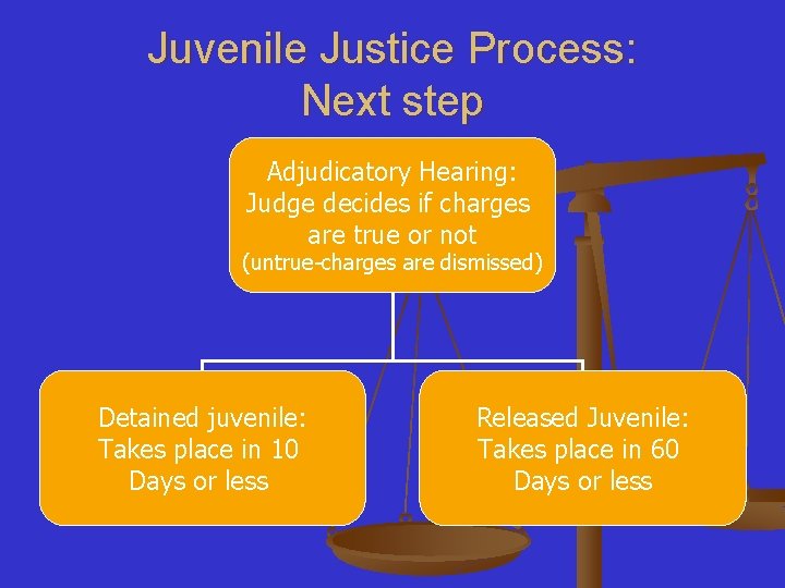 Juvenile Justice Process: Next step Adjudicatory Hearing: Judge decides if charges are true or