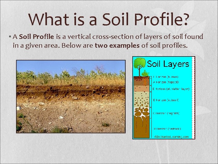 What is a Soil Profile? • A Soil Profile is a vertical cross-section of