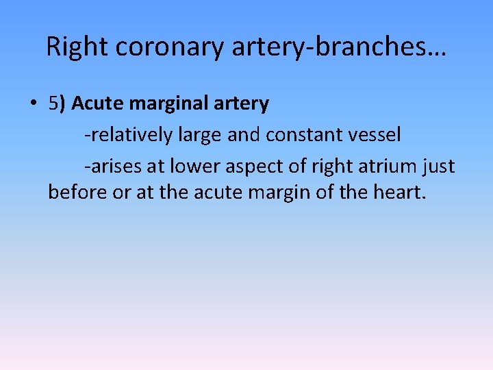 Right coronary artery-branches… • 5) Acute marginal artery -relatively large and constant vessel -arises