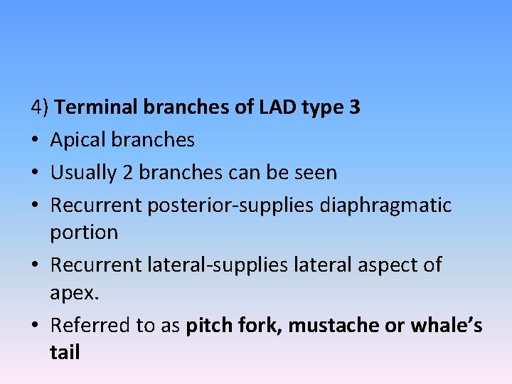 4) Terminal branches of LAD type 3 • Apical branches • Usually 2 branches