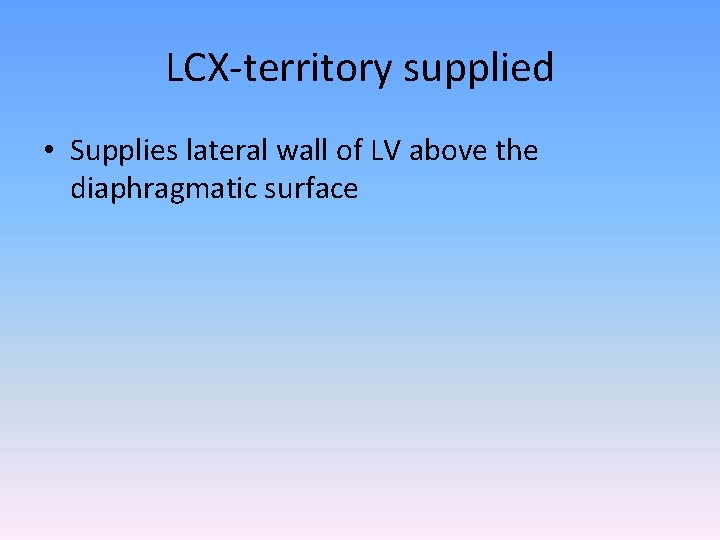 LCX-territory supplied • Supplies lateral wall of LV above the diaphragmatic surface 