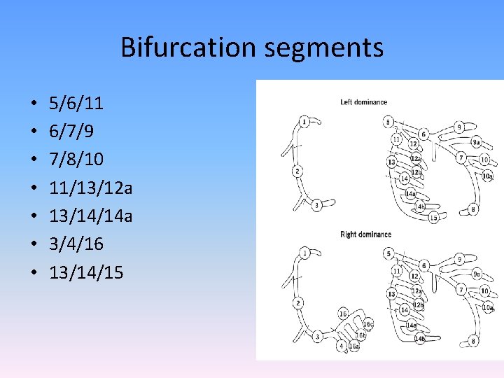 Bifurcation segments • • 5/6/11 6/7/9 7/8/10 11/13/12 a 13/14/14 a 3/4/16 13/14/15 