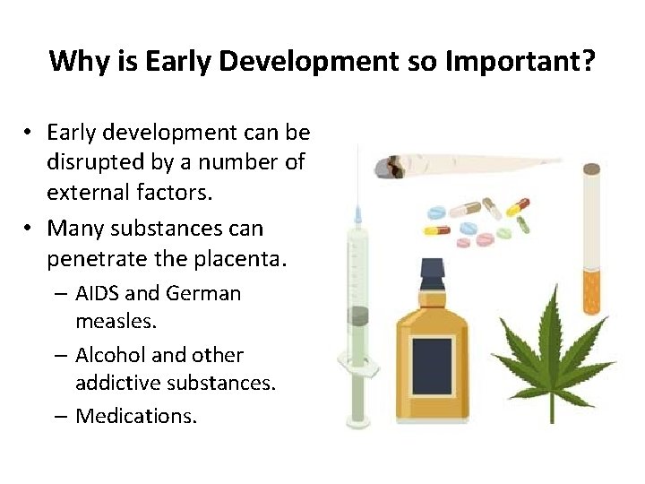 Why is Early Development so Important? • Early development can be disrupted by a