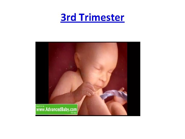 3 rd Trimester 