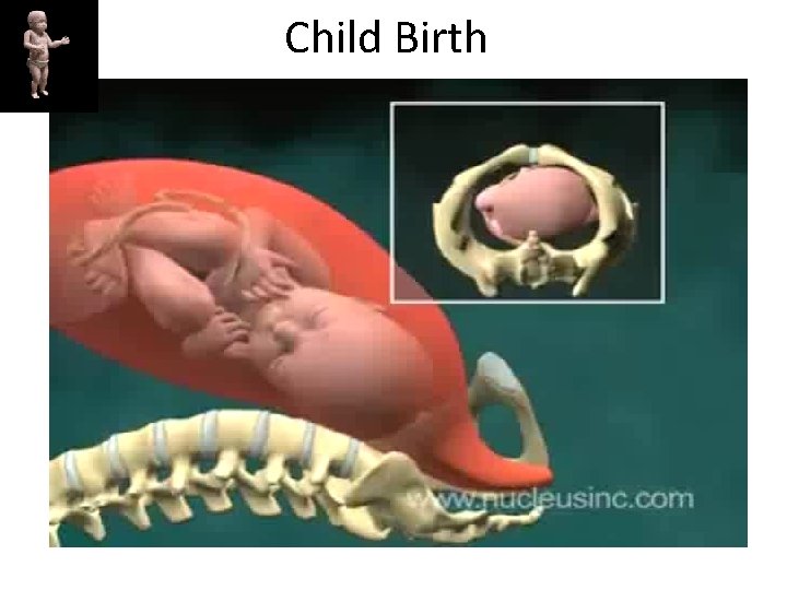 Child Birth 