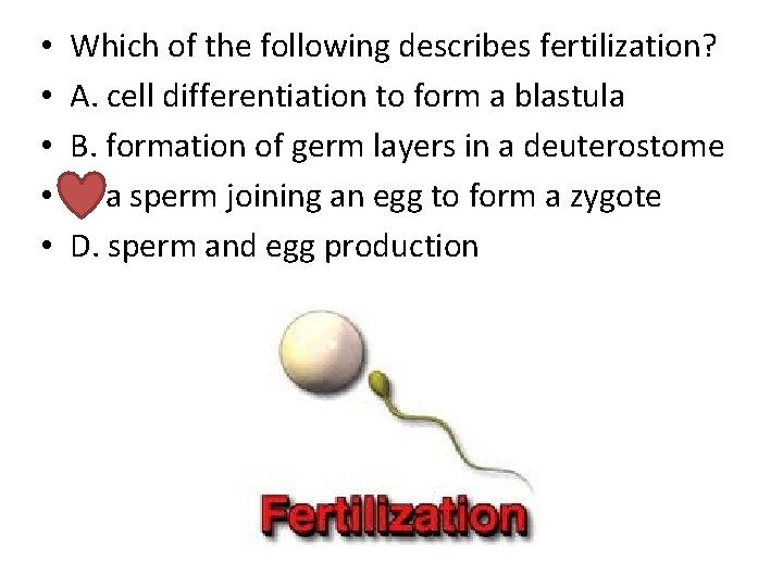  • • • Which of the following describes fertilization? A. cell differentiation to