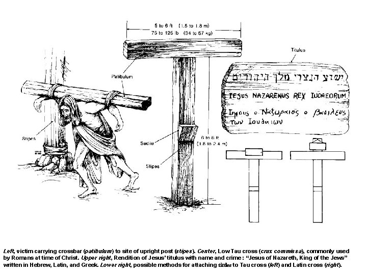 Left, victim carrying crossbar (patibulum) to site of upright post (stipes). Center, Low Tau