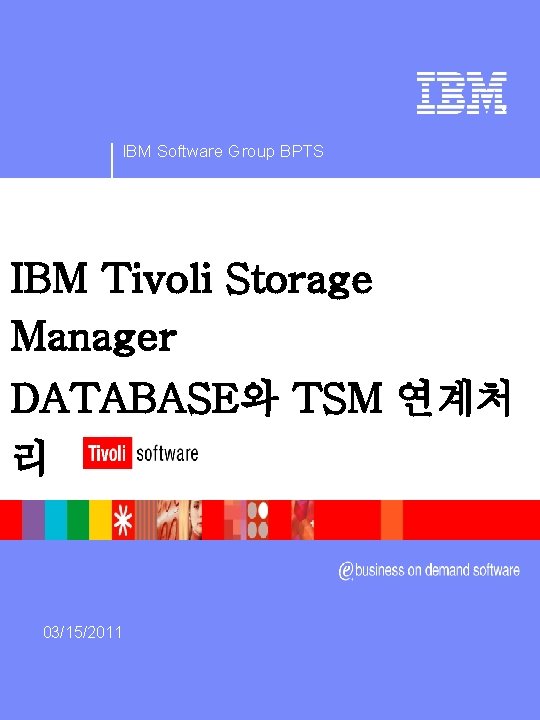 ® IBM Software Group BPTS IBM Tivoli Storage Manager DATABASE와 TSM 연계처 리 03/15/2011