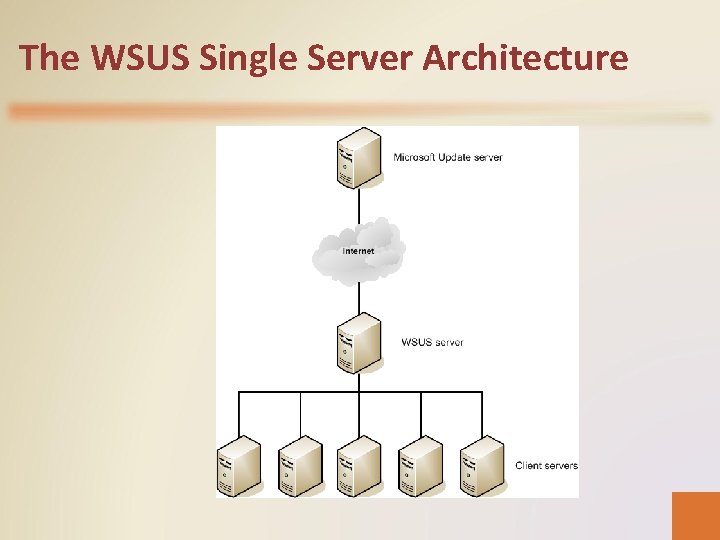 The WSUS Single Server Architecture 