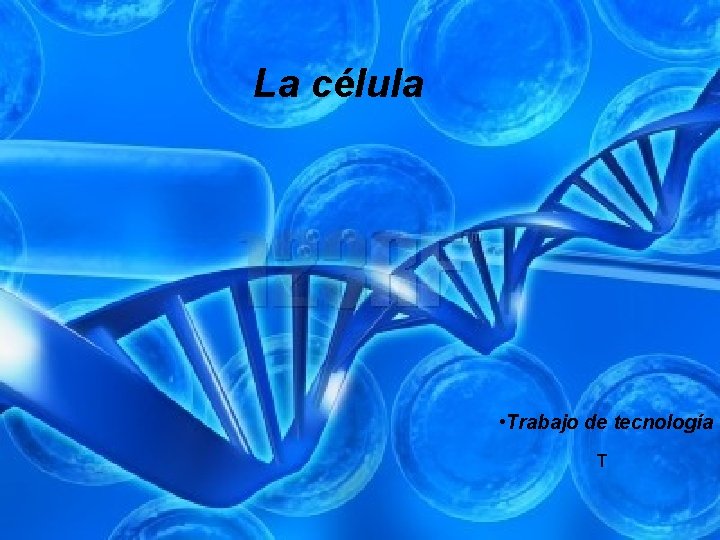 La célula • Trabajo de tecnología T 