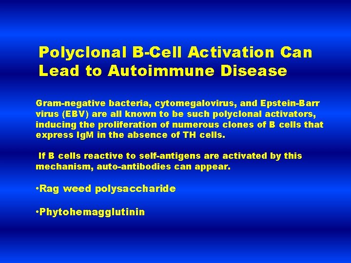 Polyclonal B-Cell Activation Can Lead to Autoimmune Disease Gram-negative bacteria, cytomegalovirus, and Epstein-Barr virus