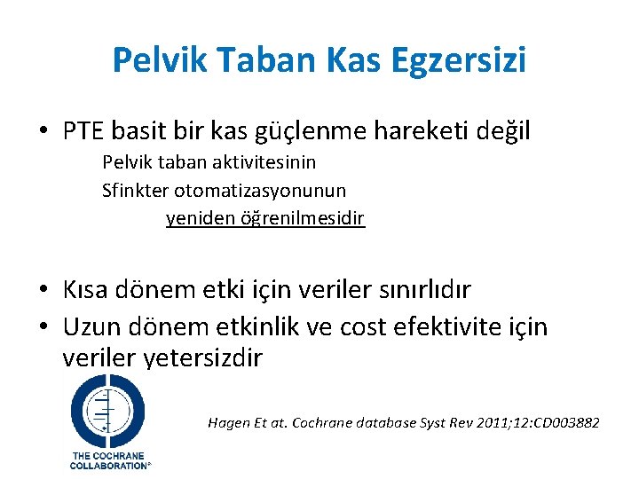 Pelvik Taban Kas Egzersizi • PTE basit bir kas güçlenme hareketi değil Pelvik taban Pelvik Taban Kas Egzersizi • PTE basit bir kas güçlenme hareketi değil Pelvik taban