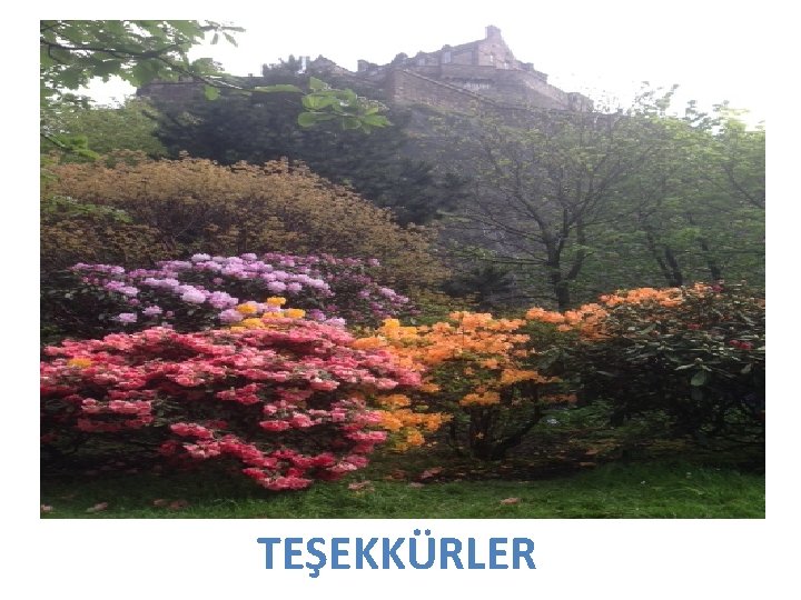TEŞEKKÜRLER TEŞEKKÜRLER