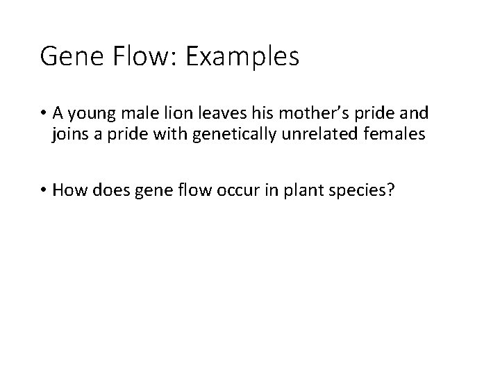 Gene Flow: Examples • A young male lion leaves his mother’s pride and joins