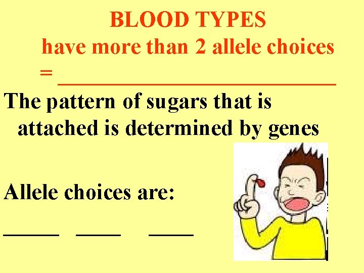 BLOOD TYPES have more than 2 allele choices = _____________ The pattern of sugars