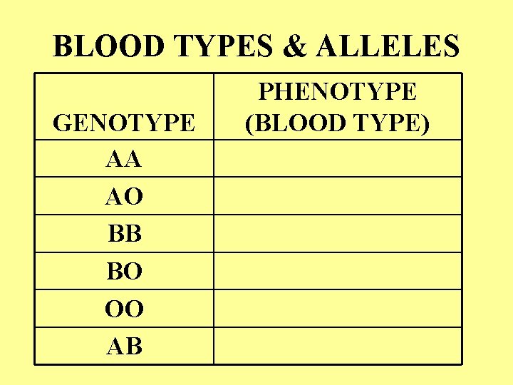 BLOOD TYPES & ALLELES GENOTYPE AA AO BB BO OO AB PHENOTYPE (BLOOD TYPE)