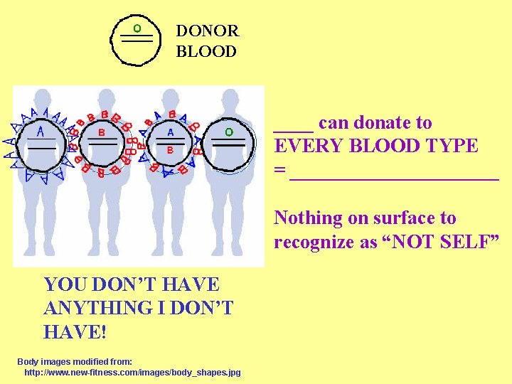 DONOR BLOOD ____ can donate to EVERY BLOOD TYPE = ___________ Nothing on surface