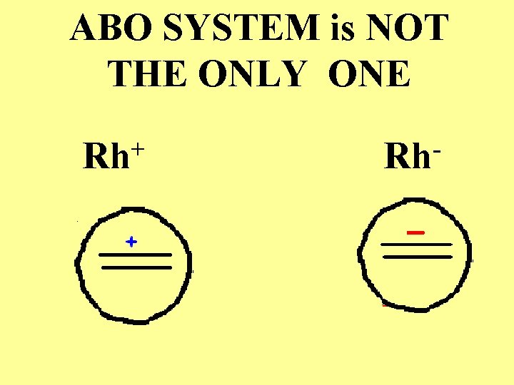 ABO SYSTEM is NOT THE ONLY ONE + Rh Rh 