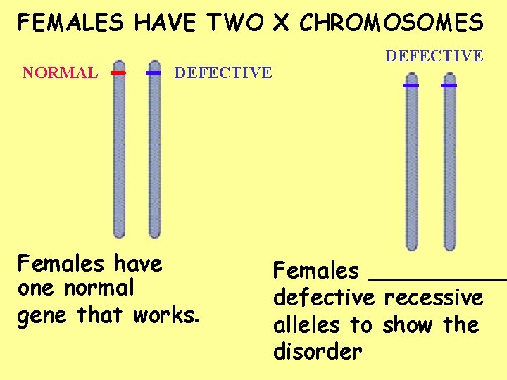 FEMALES HAVE TWO X CHROMOSOMES NORMAL DEFECTIVE Females have one normal gene that works.