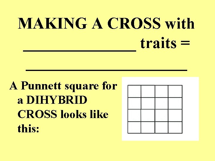 MAKING A CROSS with _______ traits = __________ A Punnett square for a DIHYBRID