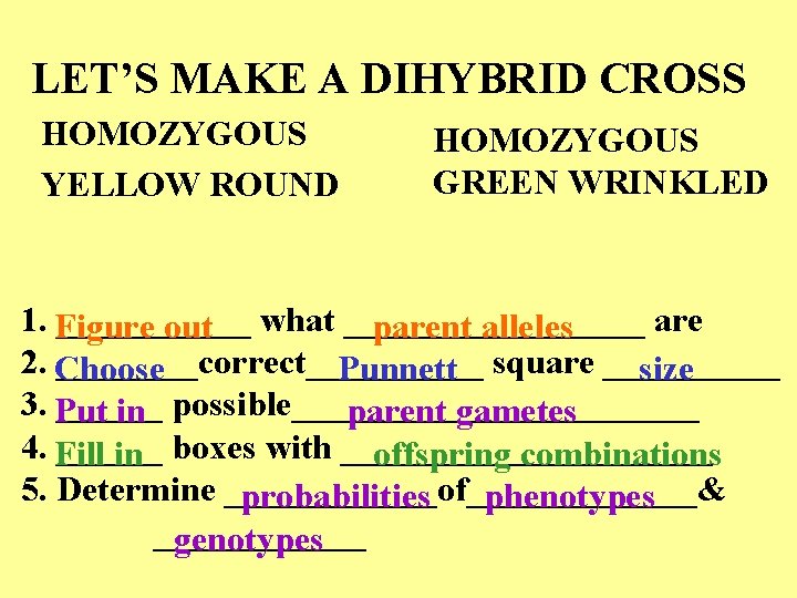 LET’S MAKE A DIHYBRID CROSS HOMOZYGOUS YELLOW ROUND HOMOZYGOUS GREEN WRINKLED 1. Figure ______