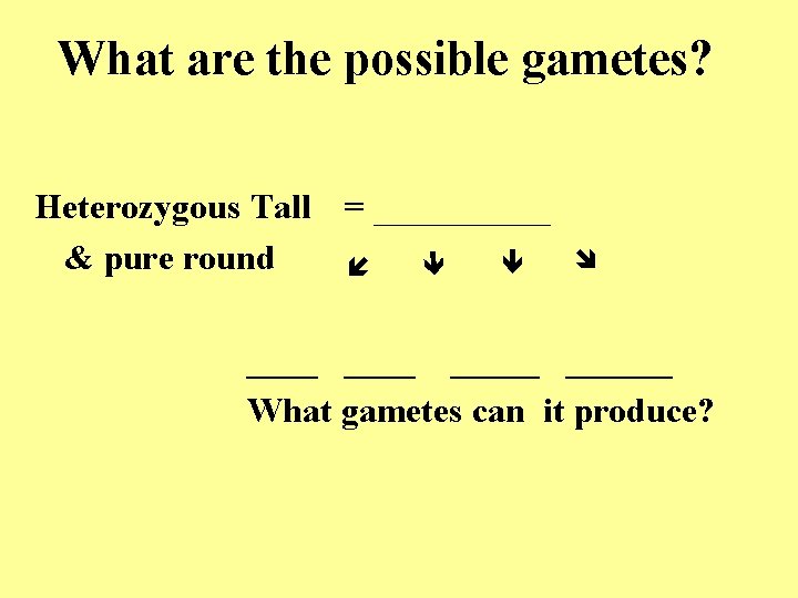 Heterozygous Tall = _____ & pure round What are the possible gametes? ______