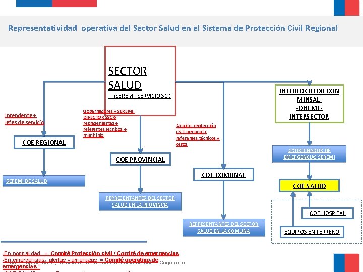 Representatividad operativa del Sector Salud en el Sistema de Protección Civil Regional SECTOR SALUD