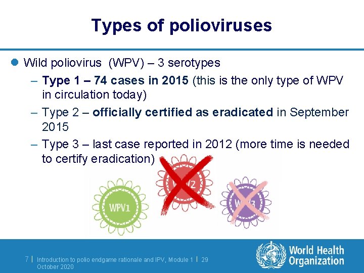 Types of polioviruses l Wild poliovirus (WPV) – 3 serotypes – Type 1 –