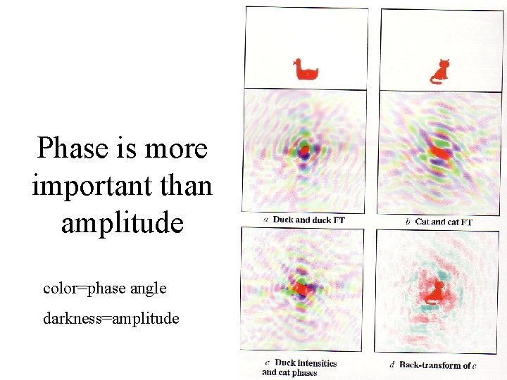 Phase is more important than amplitude color=phase angle darkness=amplitude 