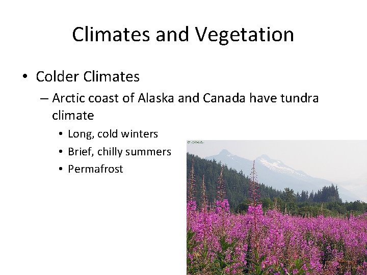 Climates and Vegetation • Colder Climates – Arctic coast of Alaska and Canada have