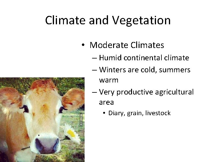 Climate and Vegetation • Moderate Climates – Humid continental climate – Winters are cold,