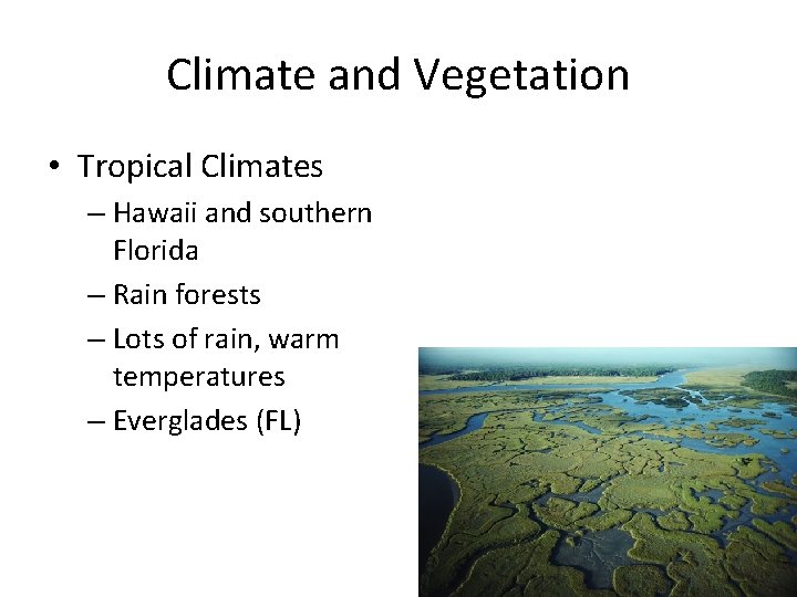 Climate and Vegetation • Tropical Climates – Hawaii and southern Florida – Rain forests