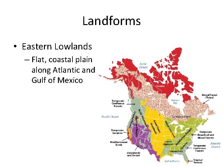 Landforms • Eastern Lowlands – Flat, coastal plain along Atlantic and Gulf of Mexico