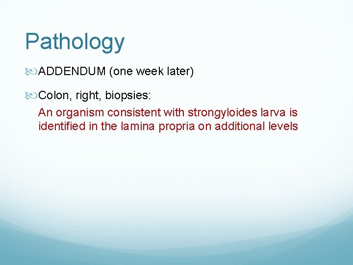 Pathology ADDENDUM (one week later) Colon, right, biopsies: An organism consistent with strongyloides larva