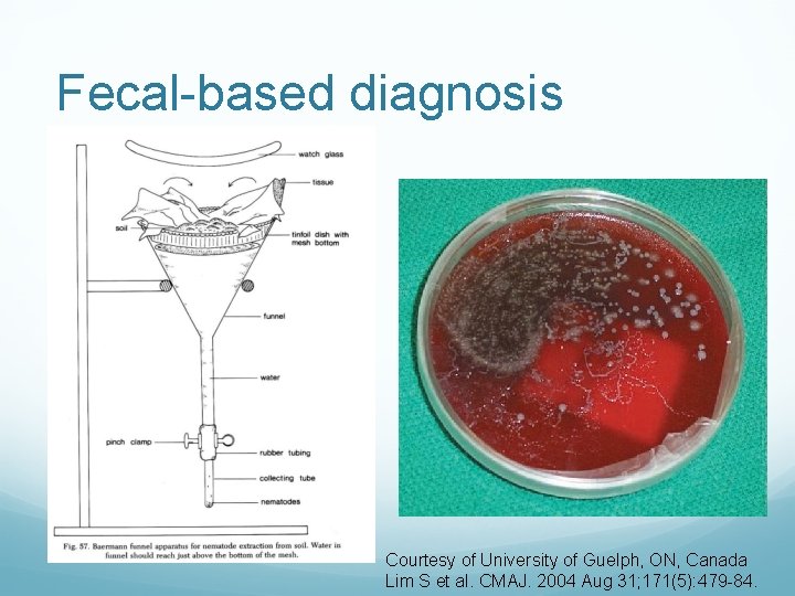 Fecal-based diagnosis Courtesy of University of Guelph, ON, Canada Lim S et al. CMAJ.