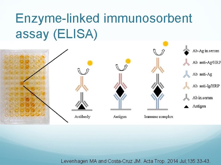 Enzyme-linked immunosorbent assay (ELISA) Levenhagen MA and Costa-Cruz JM. Acta Trop. 2014 Jul; 135: