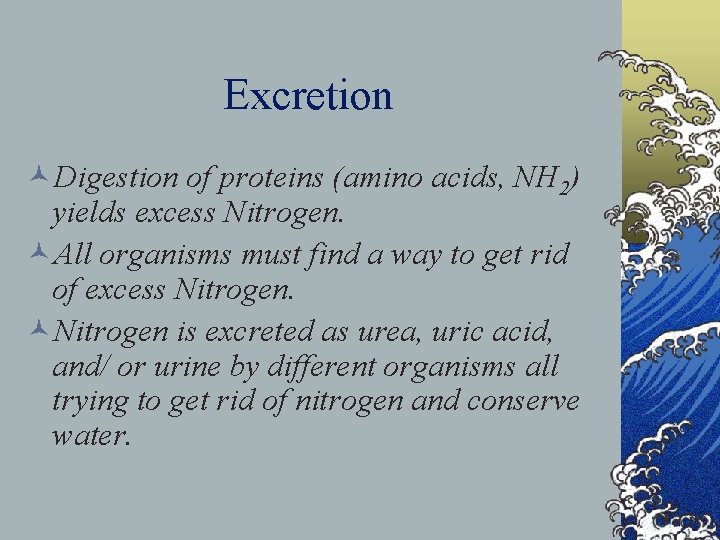 Excretion ©Digestion of proteins (amino acids, NH 2) yields excess Nitrogen. ©All organisms must