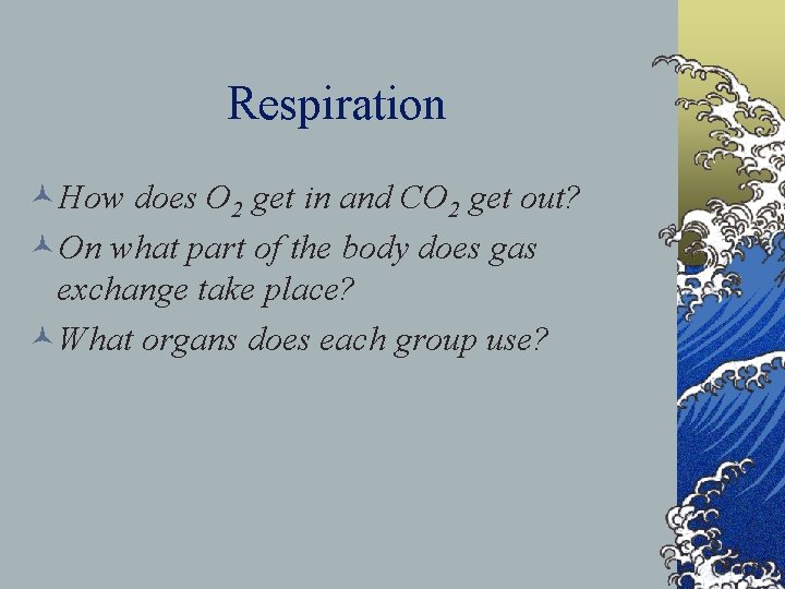 Respiration ©How does O 2 get in and CO 2 get out? ©On what