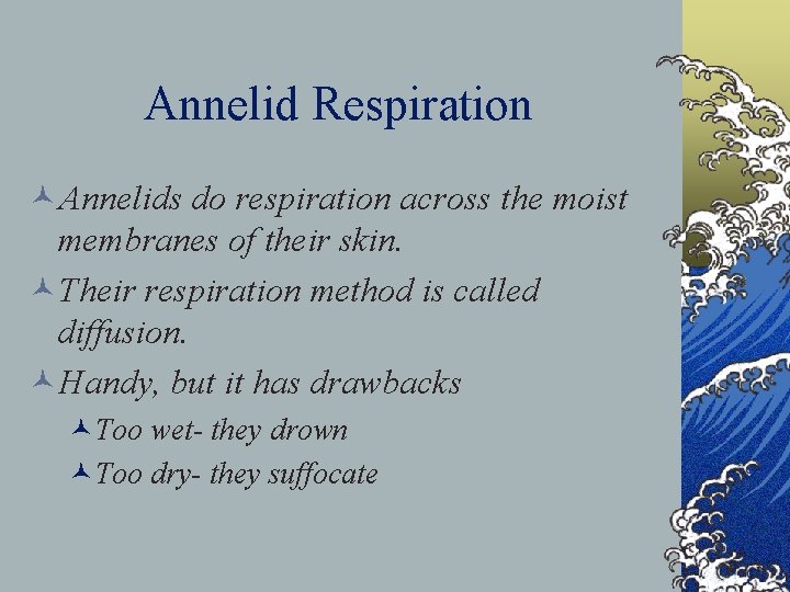 Annelid Respiration ©Annelids do respiration across the moist membranes of their skin. ©Their respiration